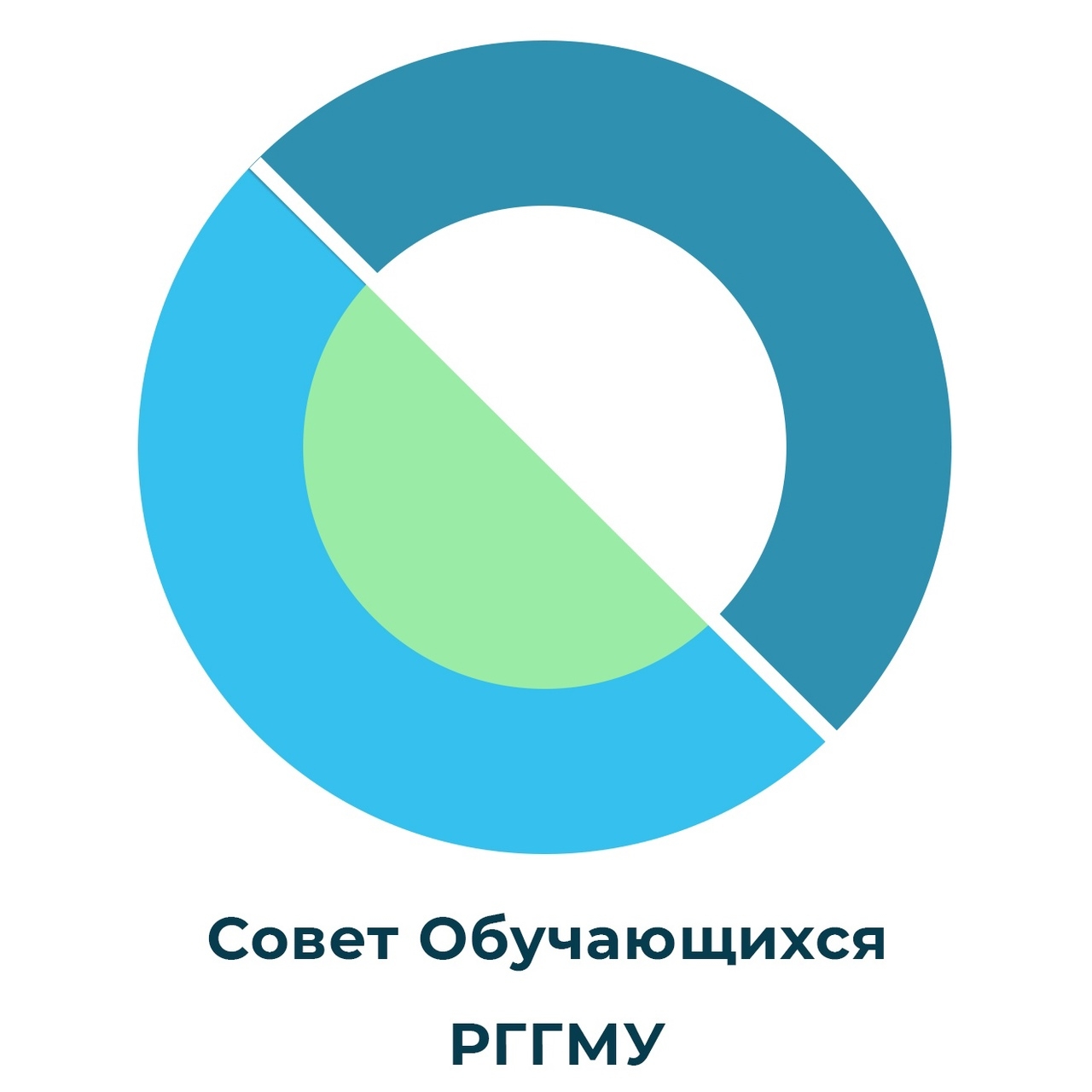 Логотип Совет Обучающихся РГГМУ